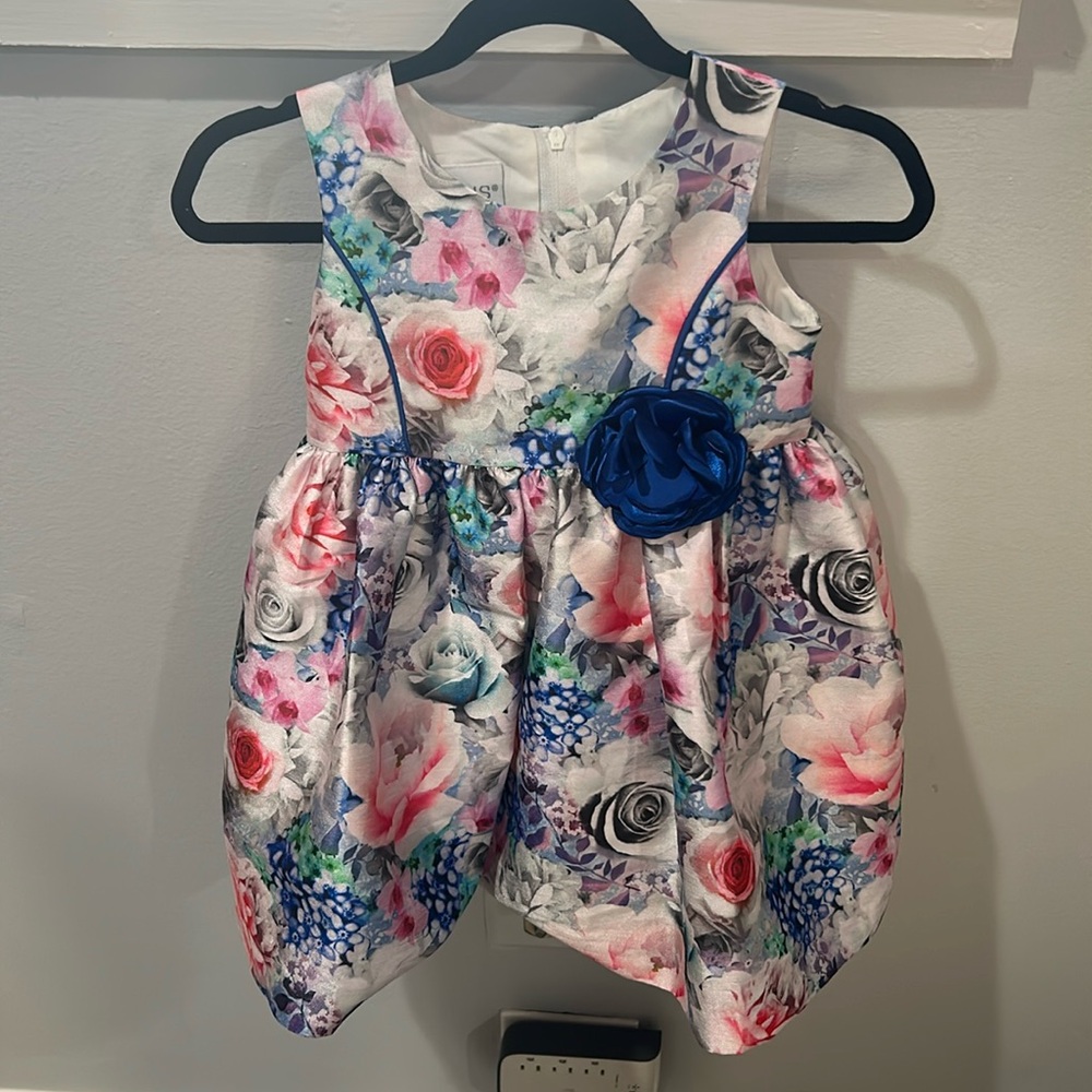Little girl’s floral occasion dress